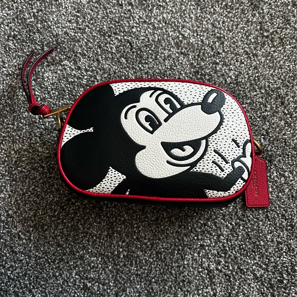 Coach Disney Crossbody 
Keith Haring